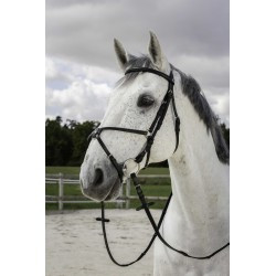 Bridon RIDING WORLD - Muserolle croisée