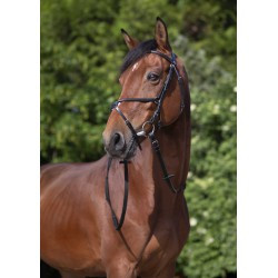 Bridon RIDING WORLD - Muserolle croisée