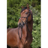 Bridon RIDING WORLD - Muserolle croisée