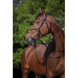 Bridon RIDING WORLD - Muserolle croisée