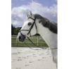Bridon RIDING WORLD - Muserolle croisée