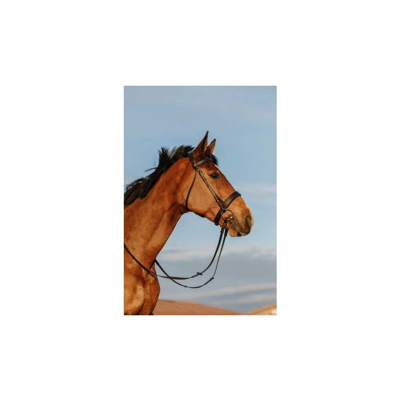 Bridon RIDING WORLD - Muserolle large