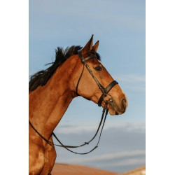 Bridon RIDING WORLD - Muserolle large