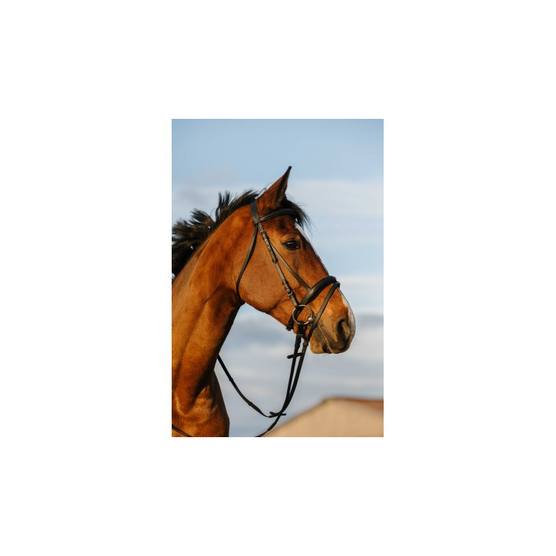 Bridon RIDING WORLD - Doublé muserolle combinée