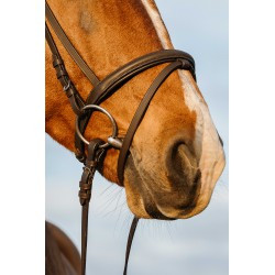 Bridon RIDING WORLD - Doublé muserolle combinée