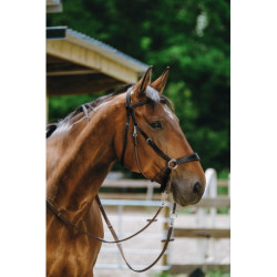 Bridon NORTON PRO - Bitless