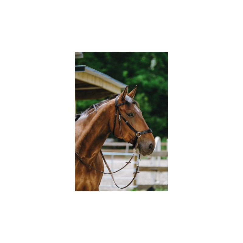 Bridon NORTON PRO - Bitless