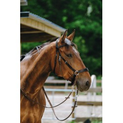 Bridon NORTON PRO - Bitless