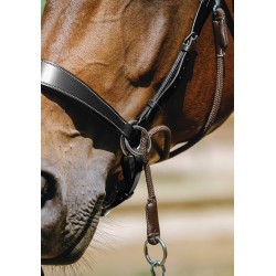 Bridon NORTON PRO - Bitless