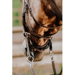 Bridon NORTON PRO - Bitless