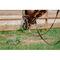 Bridon NORTON PRO - Bitless