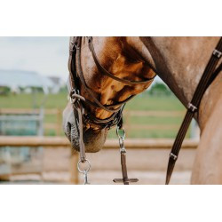 Bridon NORTON PRO - Bitless