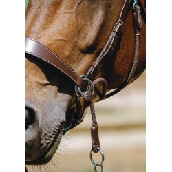 Bridon NORTON PRO - Bitless