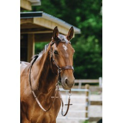 Bridon NORTON PRO - Bitless