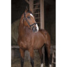 Bridon NORTON PRO - Fin