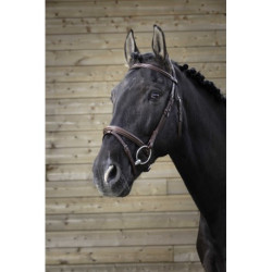 Bridon NORTON PRO - Fin