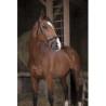 Bridon NORTON PRO - Fin