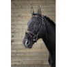 Bridon NORTON PRO - Fin