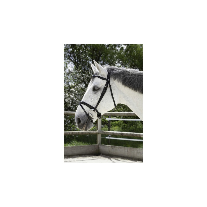 Bridon NORTON PRO - Combinée