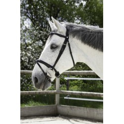 Bridon NORTON PRO - Combinée