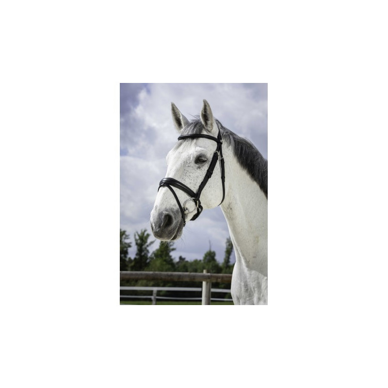 Bridon NORTON PRO - Soft