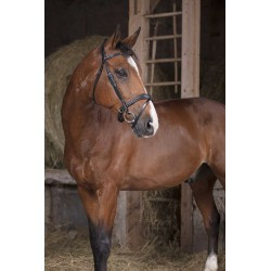 Bridon NORTON PRO - Vague