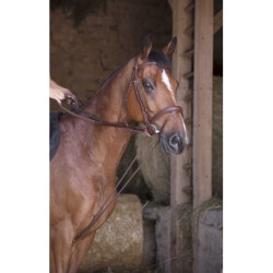 Rênes allemande NORTON PRO - Cuir/corde