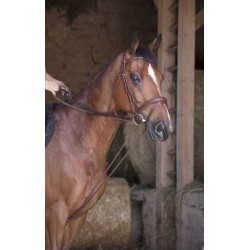 Rênes allemande NORTON PRO - Cuir/corde