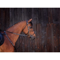 Martingale à anneaux RIDING WORLD