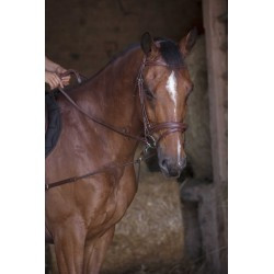 Enrênement élastique court/poulies NORTON PRO