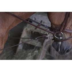 Enrênement élastique court/poulies NORTON PRO