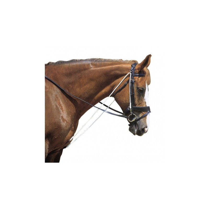 Chambon NORTON CLUB à poulies