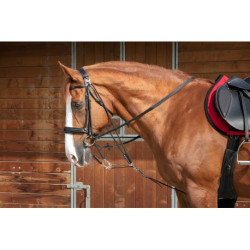 Gogue à poulies NORTON PRO