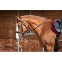 Gogue à poulies NORTON PRO