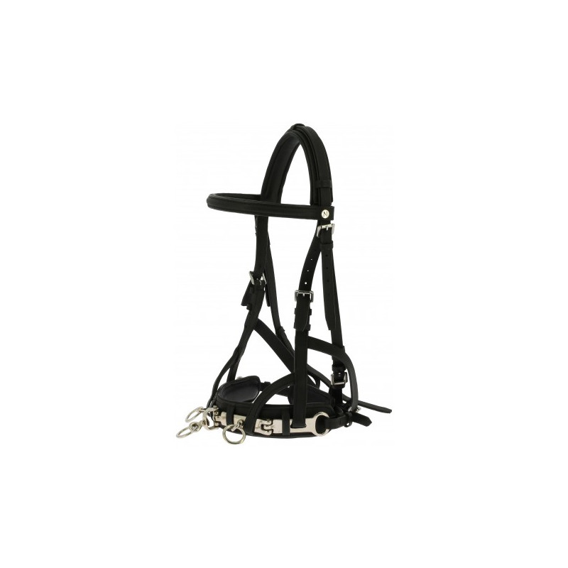 Caveçon de travail NORTON CLUB