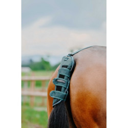 Protège-queue EQUITHÈME - TYREX 600D