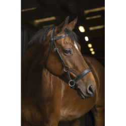 Side-pull NORTON PRO - Confort