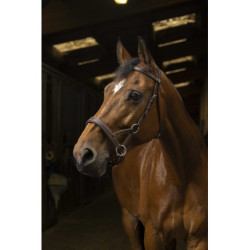 Side-pull NORTON PRO - Confort