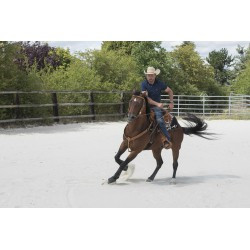 Selle WESTRIDE by Franck Perret - Aurora