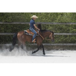 Selle WESTRIDE by Franck Perret - Aurora