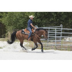 Selle WESTRIDE by Franck Perret - Aurora