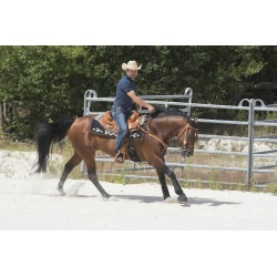 Selle WESTRIDE by Franck Perret - Aurora