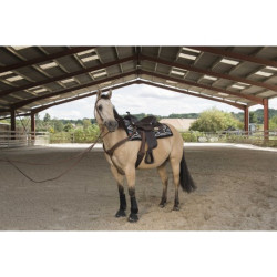 Selle WESTRIDE by Franck Perret - Arvada