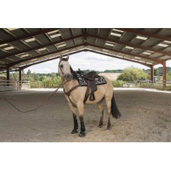 Selle WESTRIDE by Franck Perret - Arvada