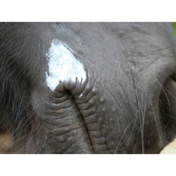 Baume ANIMADERM - NATJELY™