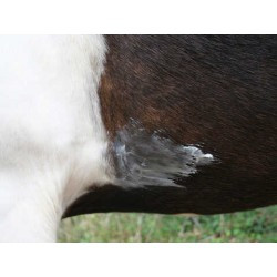 Baume ANIMADERM - NATJELY™