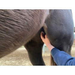 Baume ANIMADERM - NATJELY™