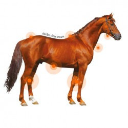 Crème ANIMADERM - DERFEN™ Clear