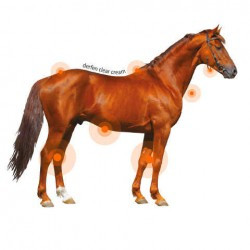 Crème ANIMADERM - DERFEN™ Clear