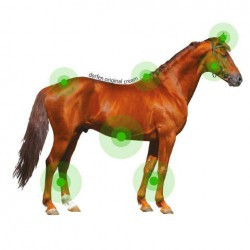 Crème ANIMADERM - DERFEN™ Original